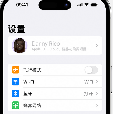 安多appleID维修服务iPhone设置中Apple ID显示为灰色无法使用 