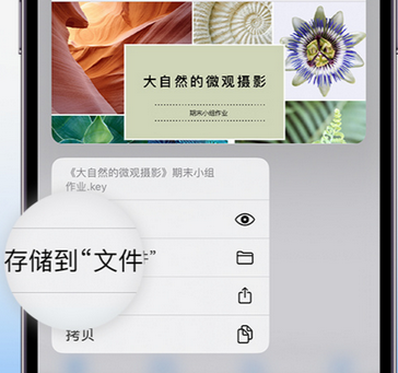 安多apple维修中心分享iPhone文件应用中存储和找到下载文件