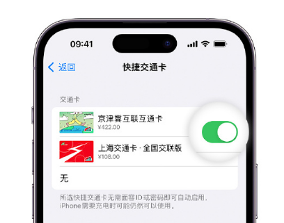 安多apple维修点分享iPhone上更换Apple Pay快捷交通卡手绘卡面 