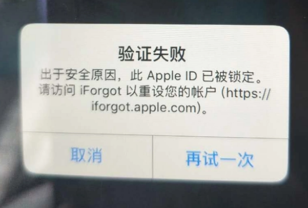 安多iPhone维修分享iPhone上正常登录或使用AppleID怎么办 