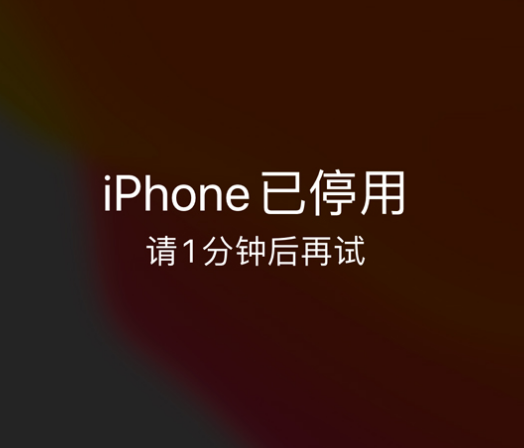 安多苹果手机维修分享:iPhone 显示“不可用”或“已停用”怎么办？还能保留数据吗？ 