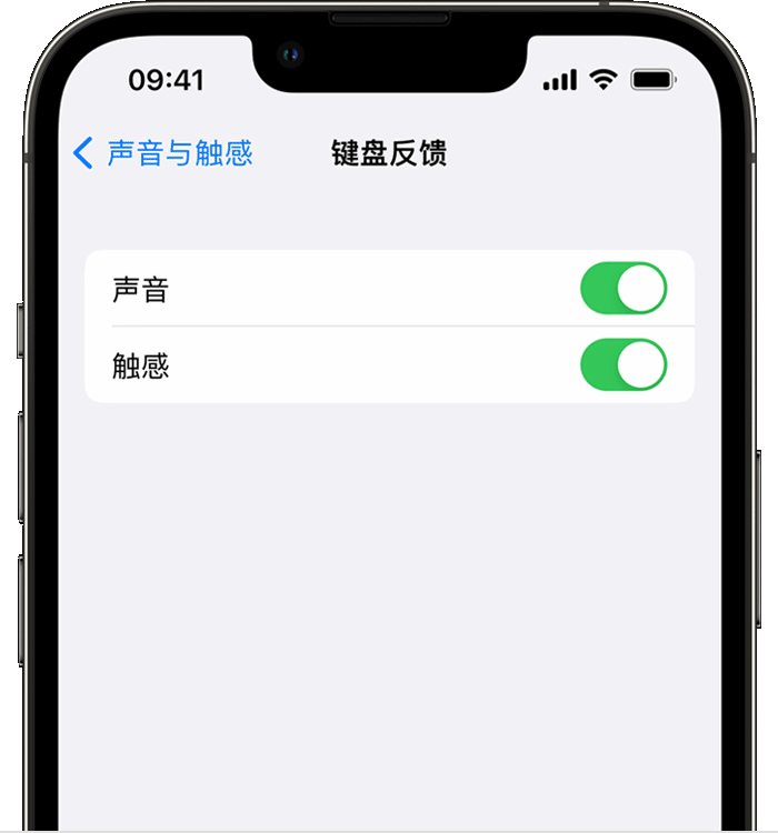 安多苹果14维修店分享如何在 iPhone 14 机型中使用触感键盘 