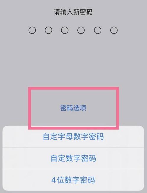 安多苹果14维修分享iPhone 14plus设置密码的方法 