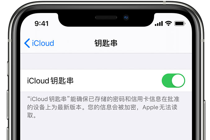 安多苹果手机维修分享在 iPhone 上开启 iCloud 钥匙串之后会储存哪些信息 