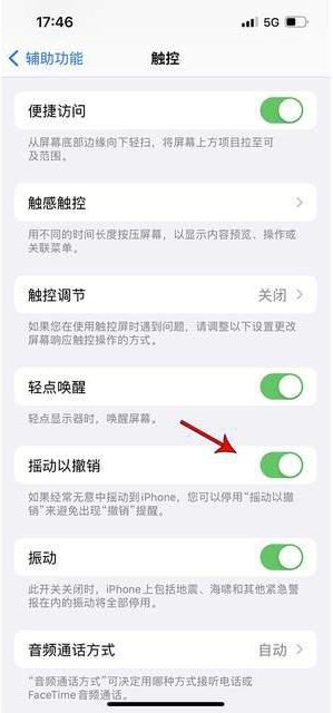 安多苹果手机维修分享iPhone手机如何设置摇一摇删除文字 